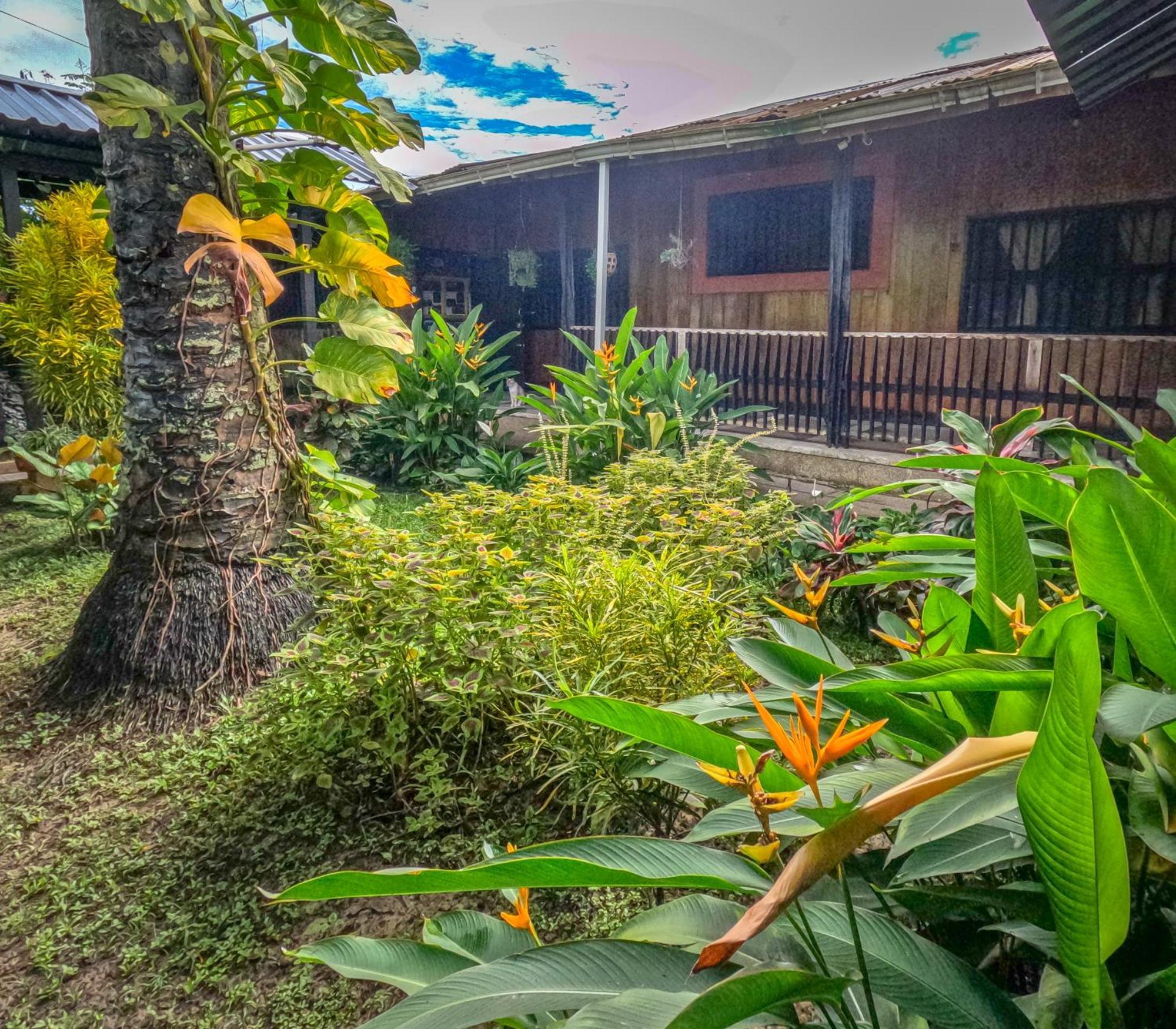 Hostel Casa De Las Palmas Tours Leticia Luaran gambar